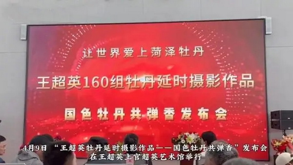 王超英160组牡丹延时摄影作品发布