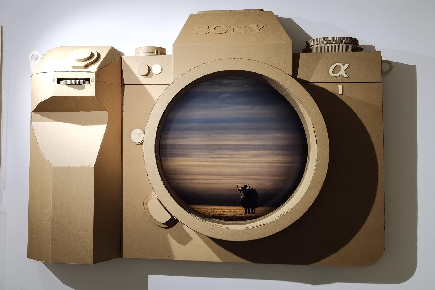 1735286410240606.jpg 6.jpg