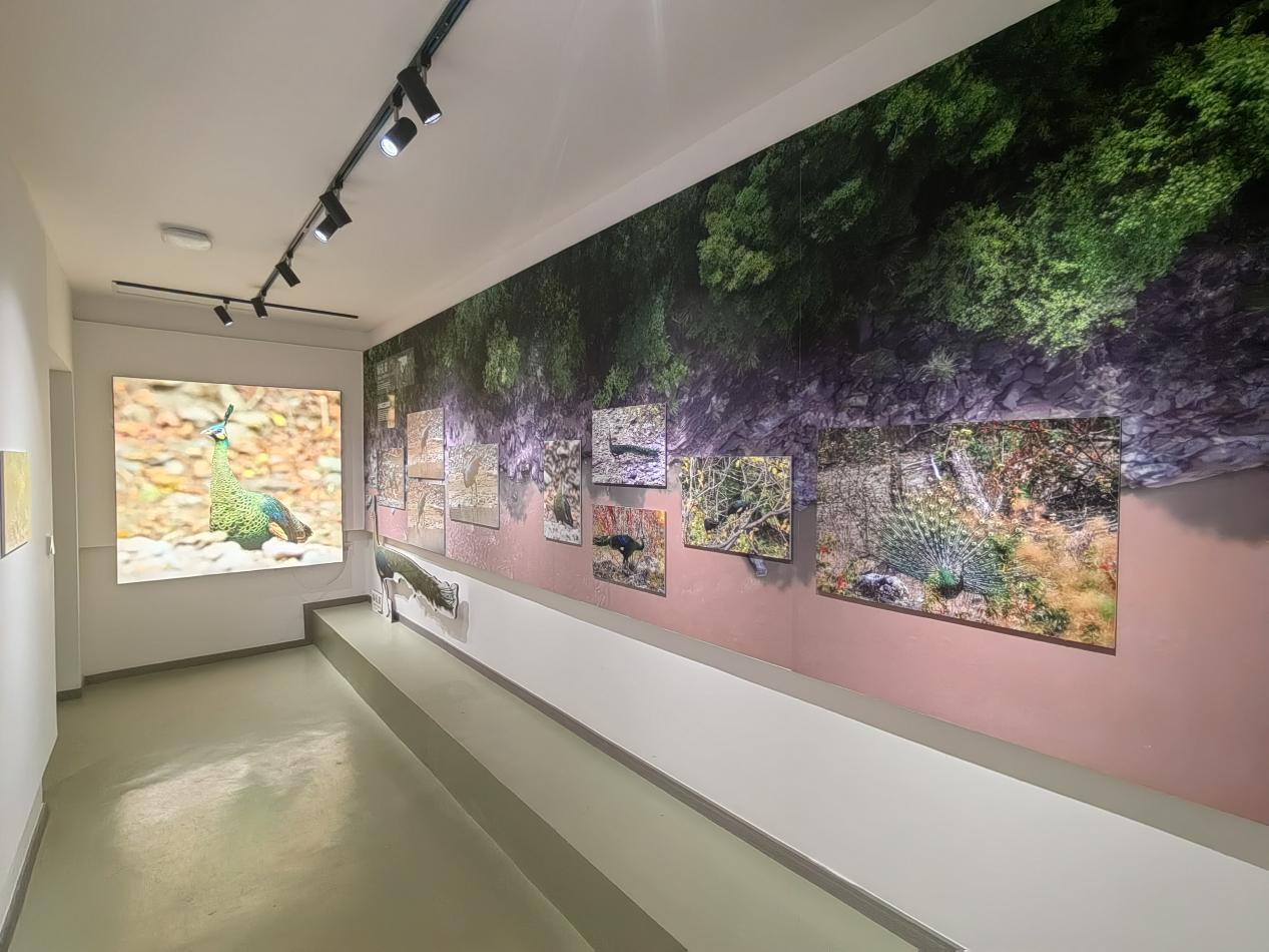 1735286426719962.png 7.png