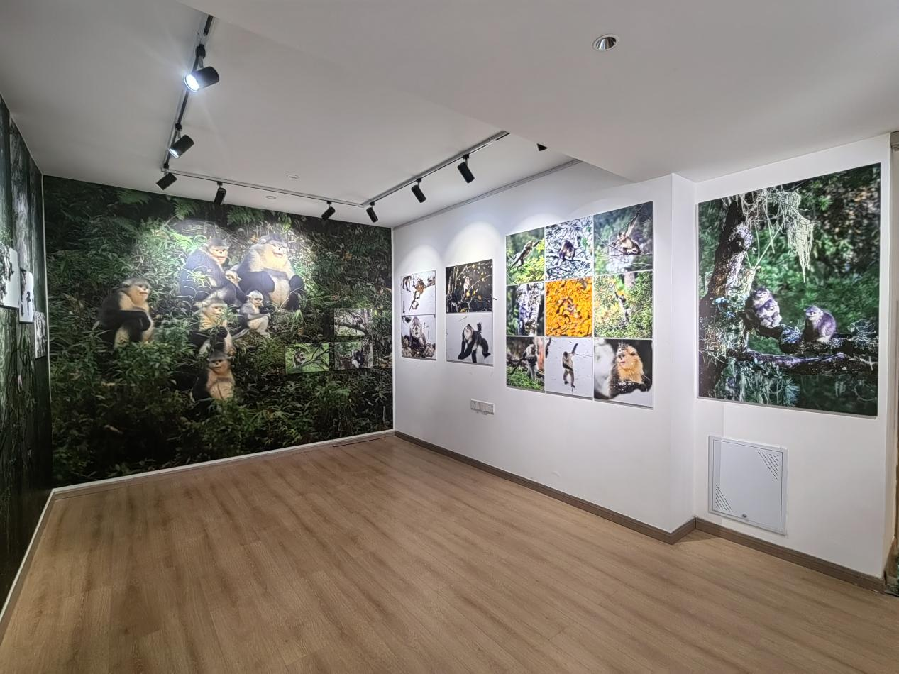 1735286432163613.png 8.png