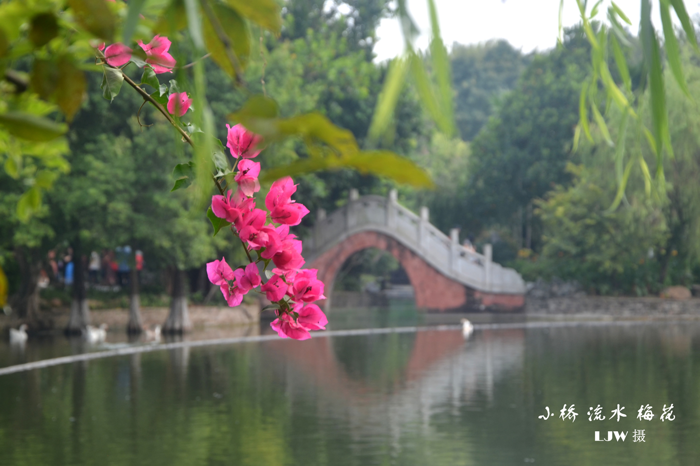 小桥流水梅花